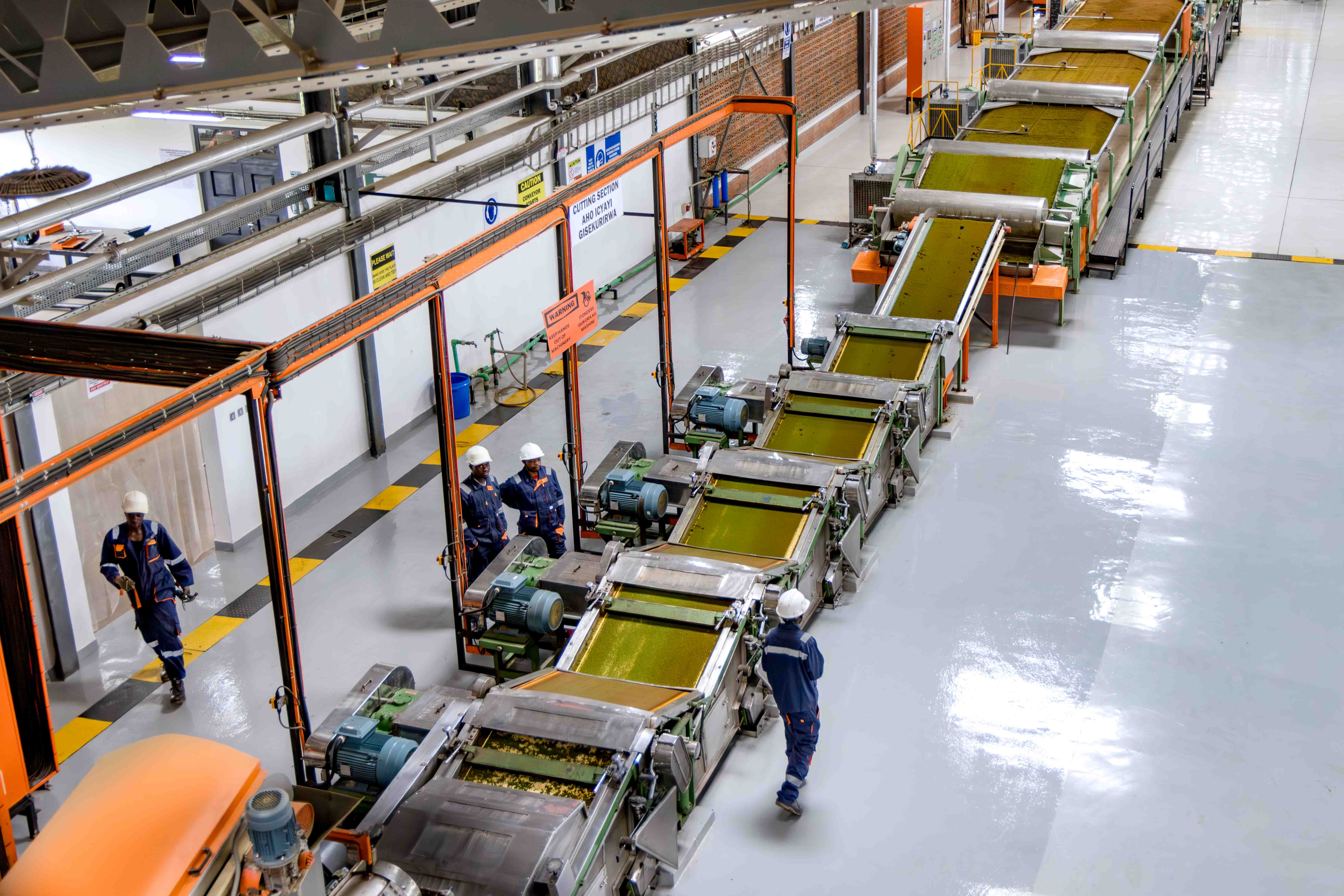 Inside Gisakura Tea Factory Experience