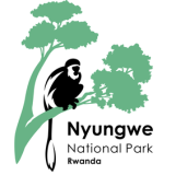 Nyungwe Management Company