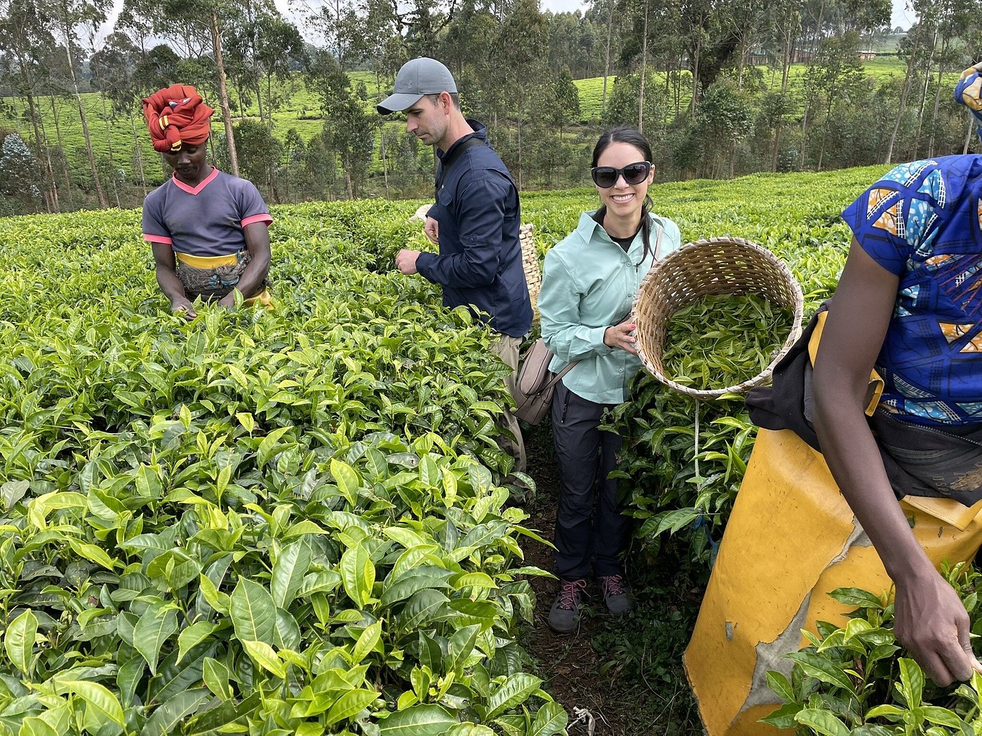 Tea Tasting Experience in Nyungwe