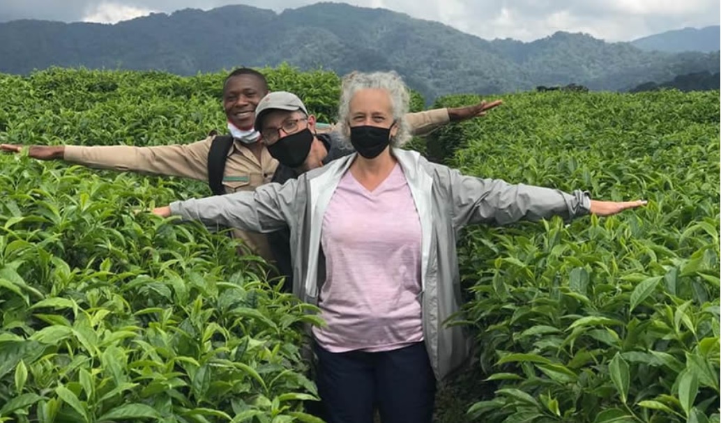 Tea Tasting Experience in Nyungwe